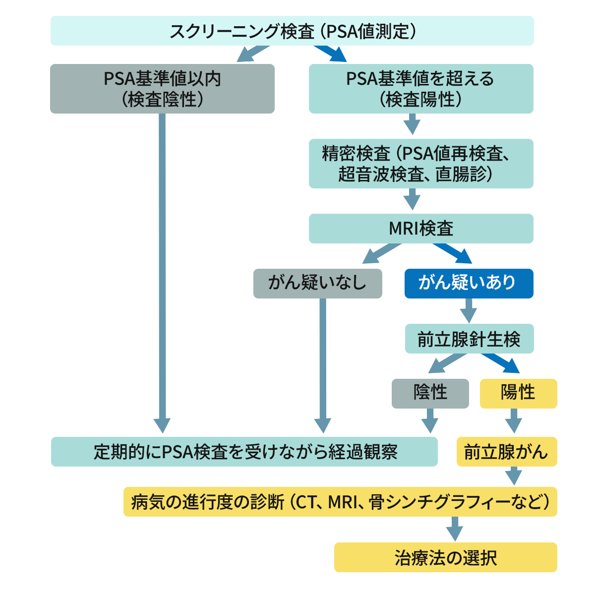 前立腺がんの診断の流れ